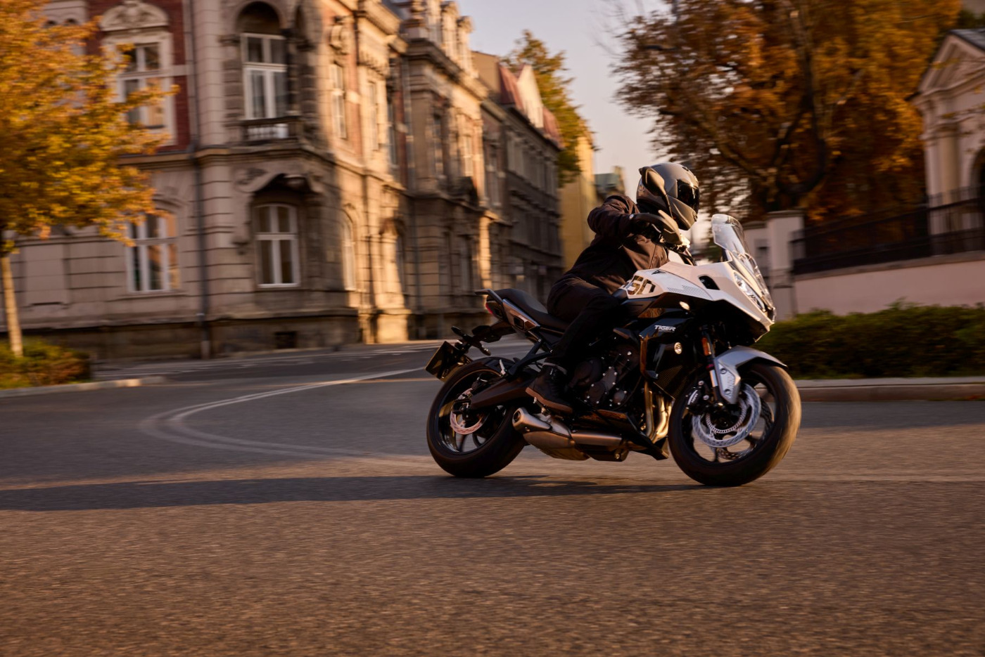 Tiger Sport 660 Euro 5+